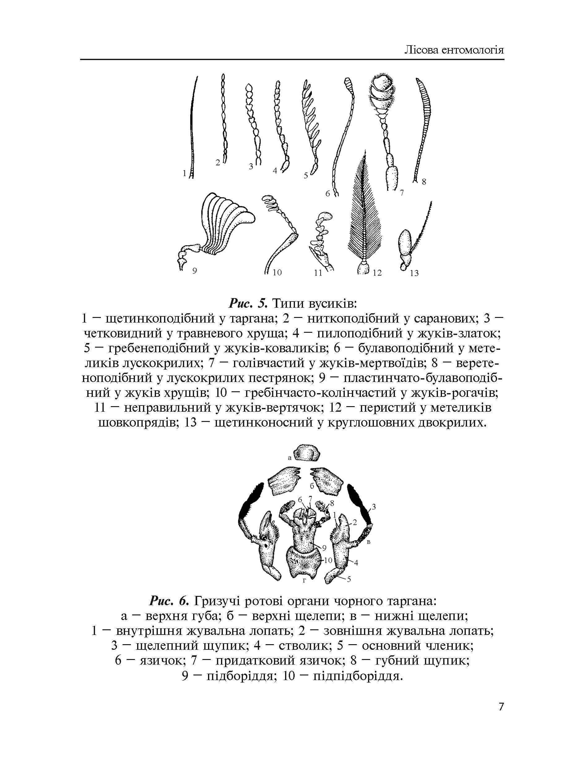 Лісова ентомологія. Автор — Марченко А.Б.. 