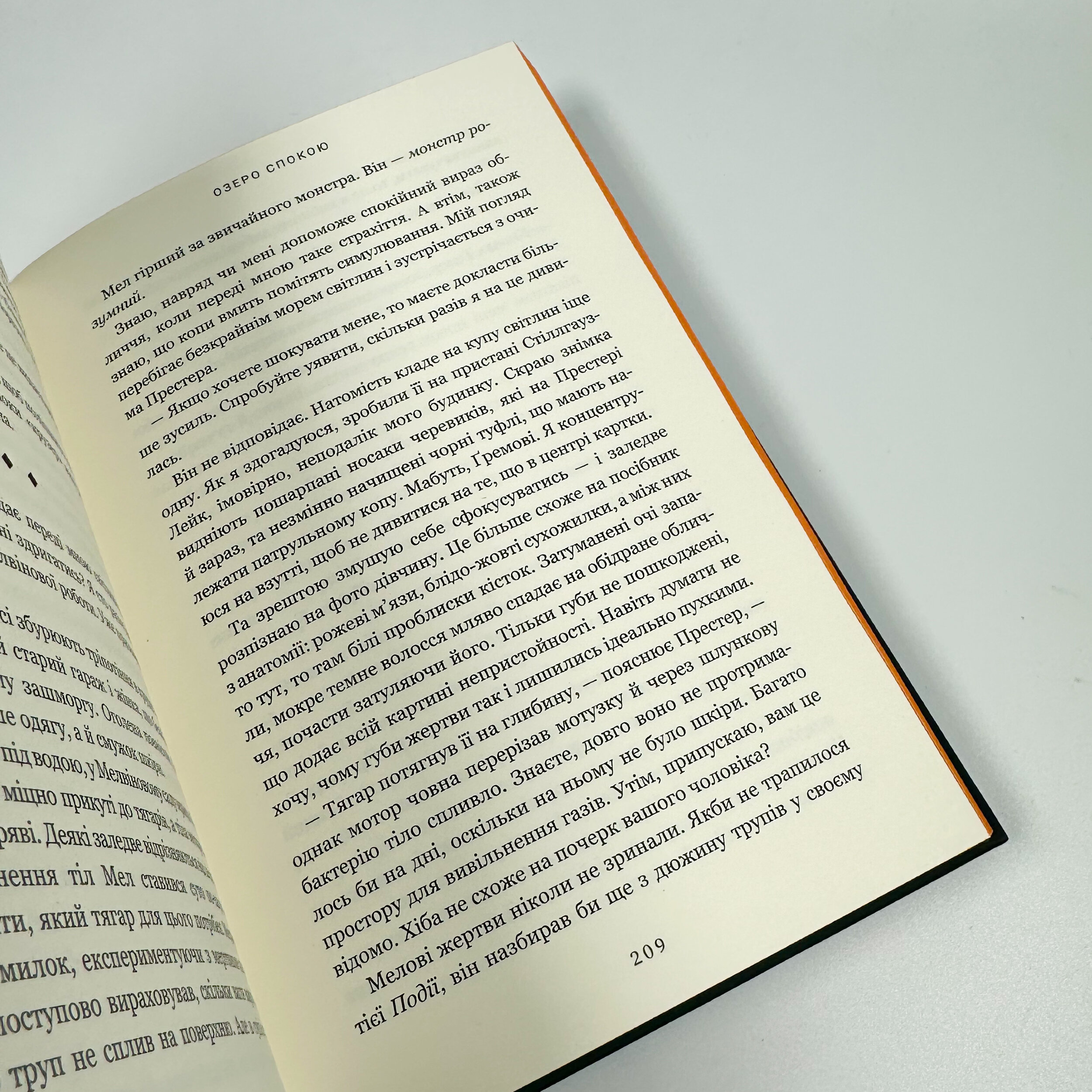 Озеро спокою . Автор — Рейчел Кейн. 