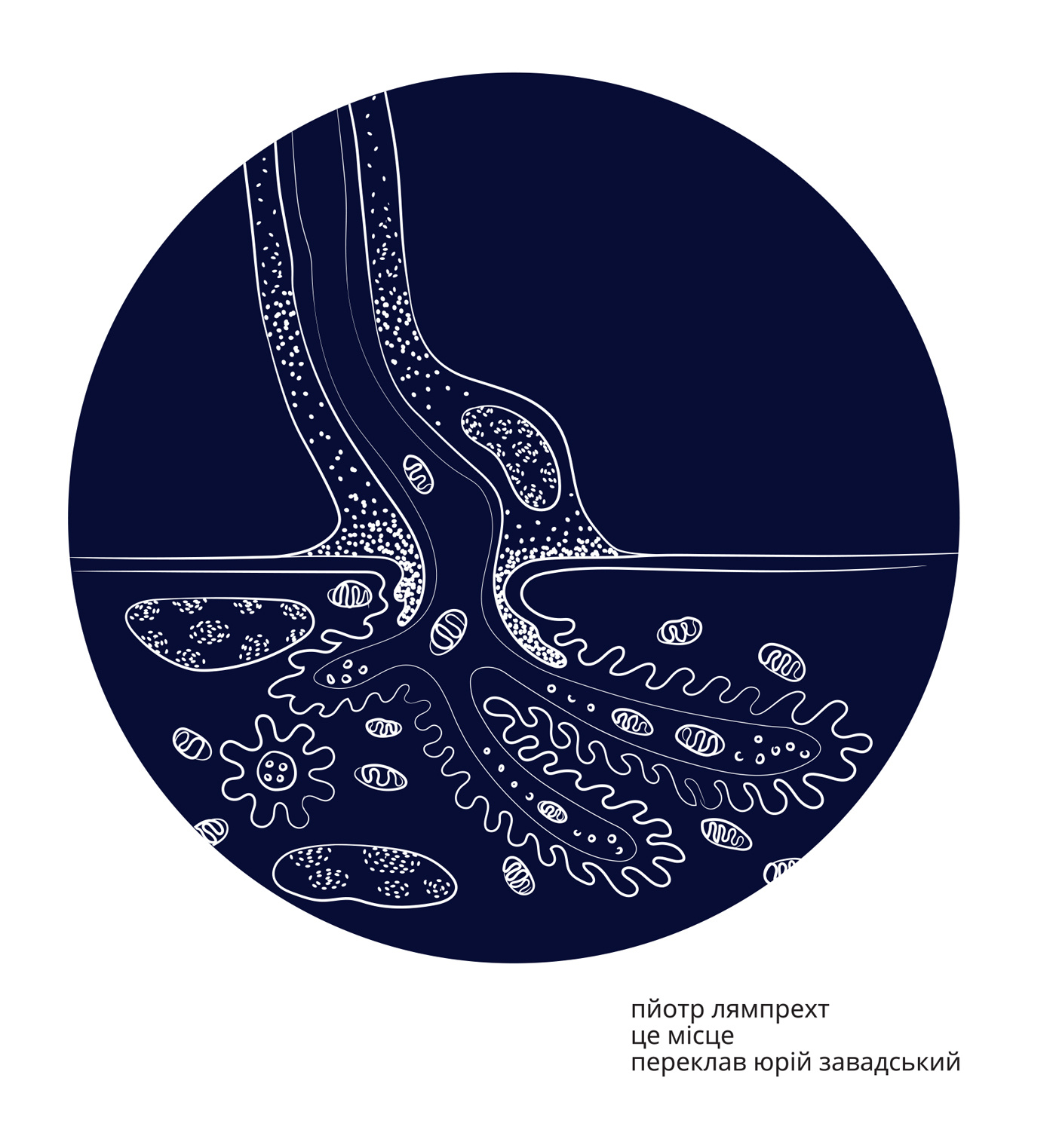 Це місце. Автор — Пйотр Лямпрехт. 