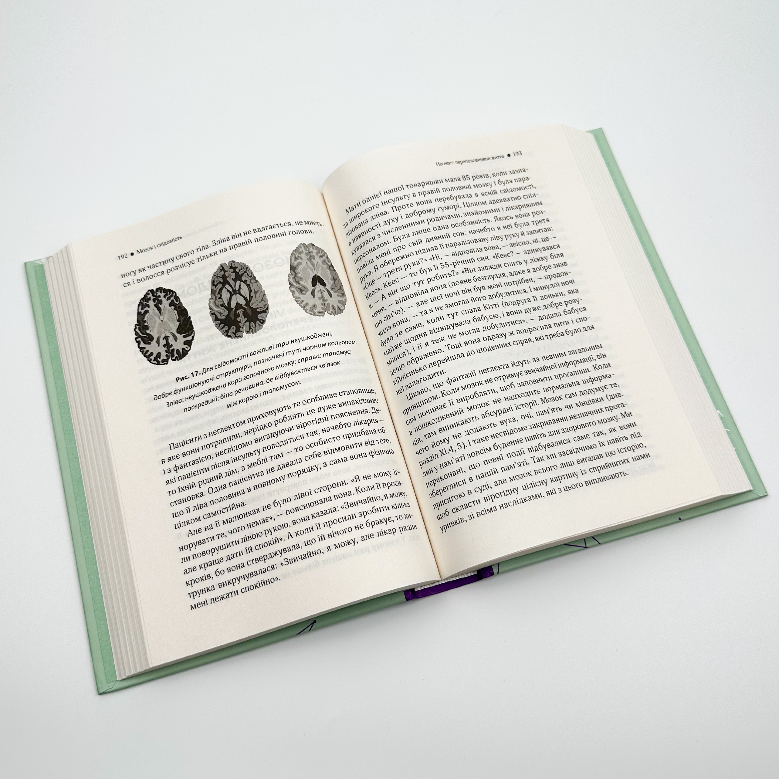 Ми - це наш мозок. Від зародження до забуття. Автор — Дік Свааб. 