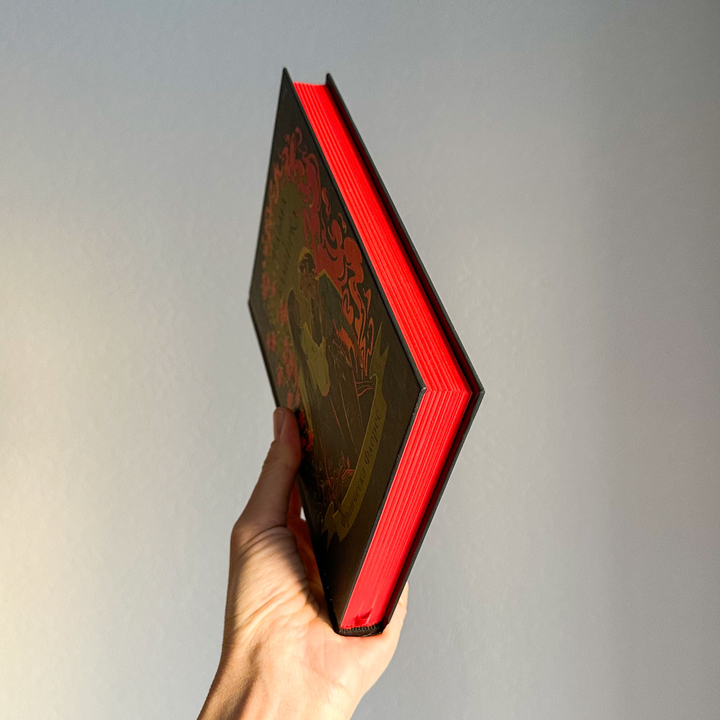 Відьма і вампірка. Автор — Франческа Флорес. 