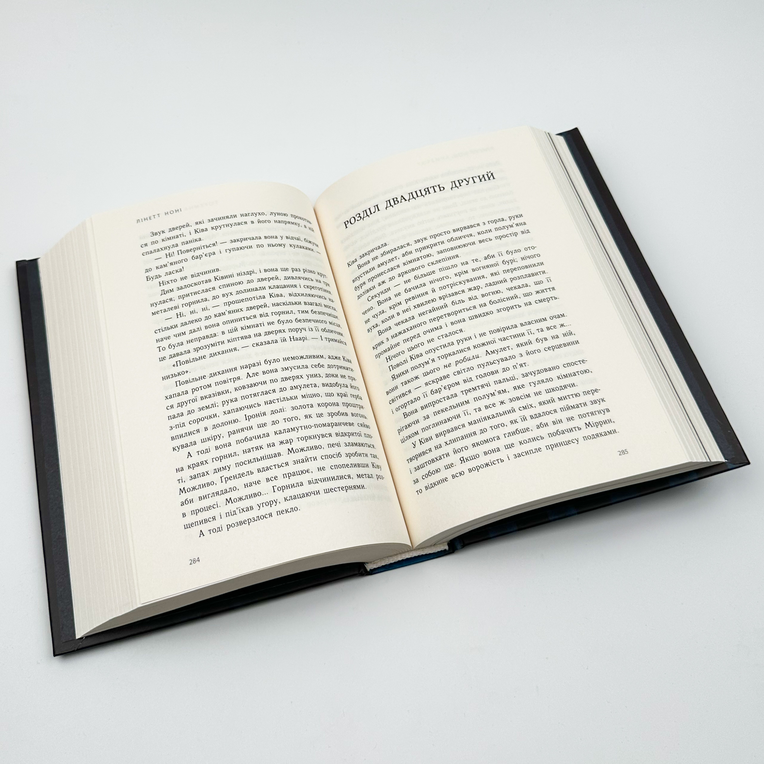 Тюремна цілителька. Книга 1. Автор — Лінетт Ноні. 