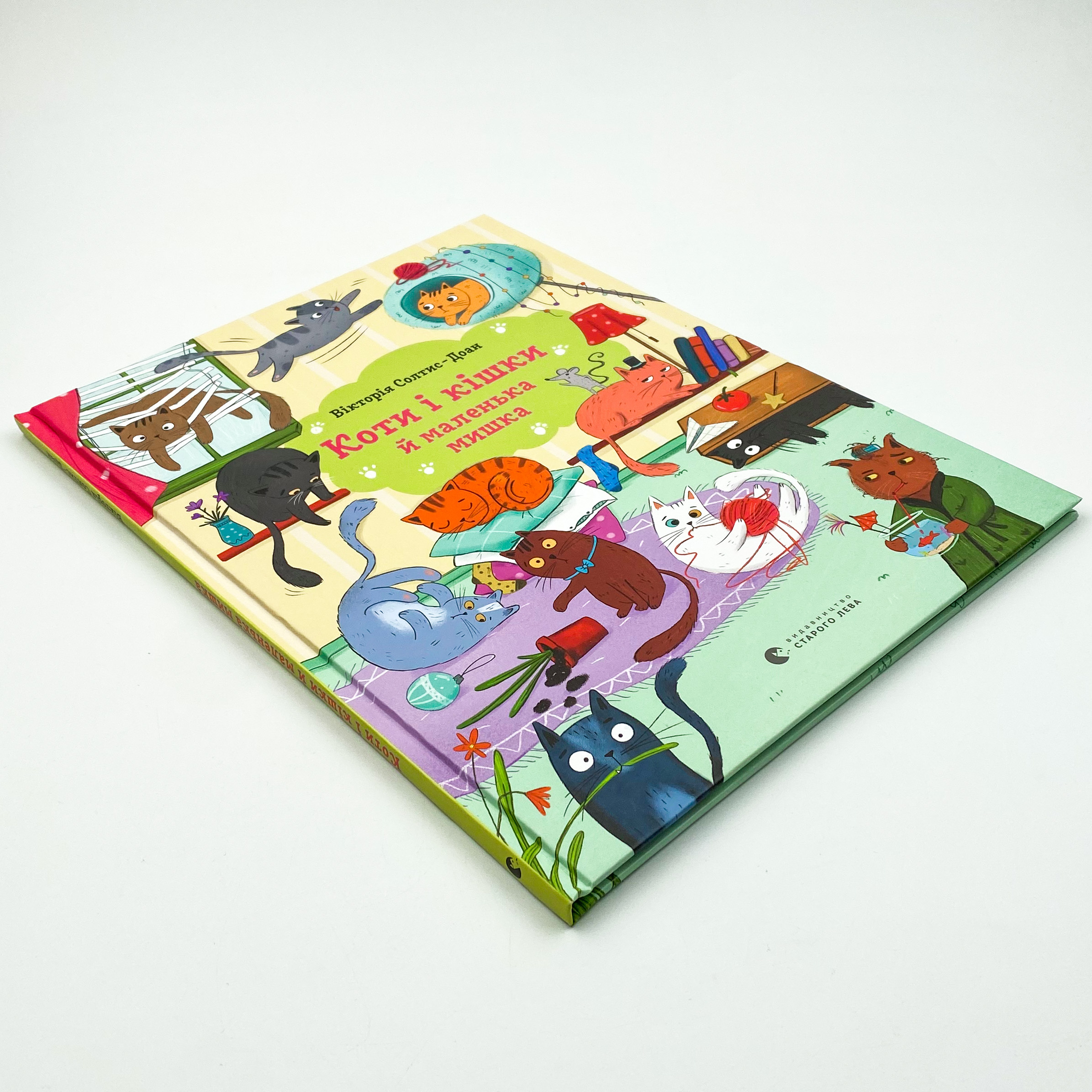 Коти і кішки й маленька мишка