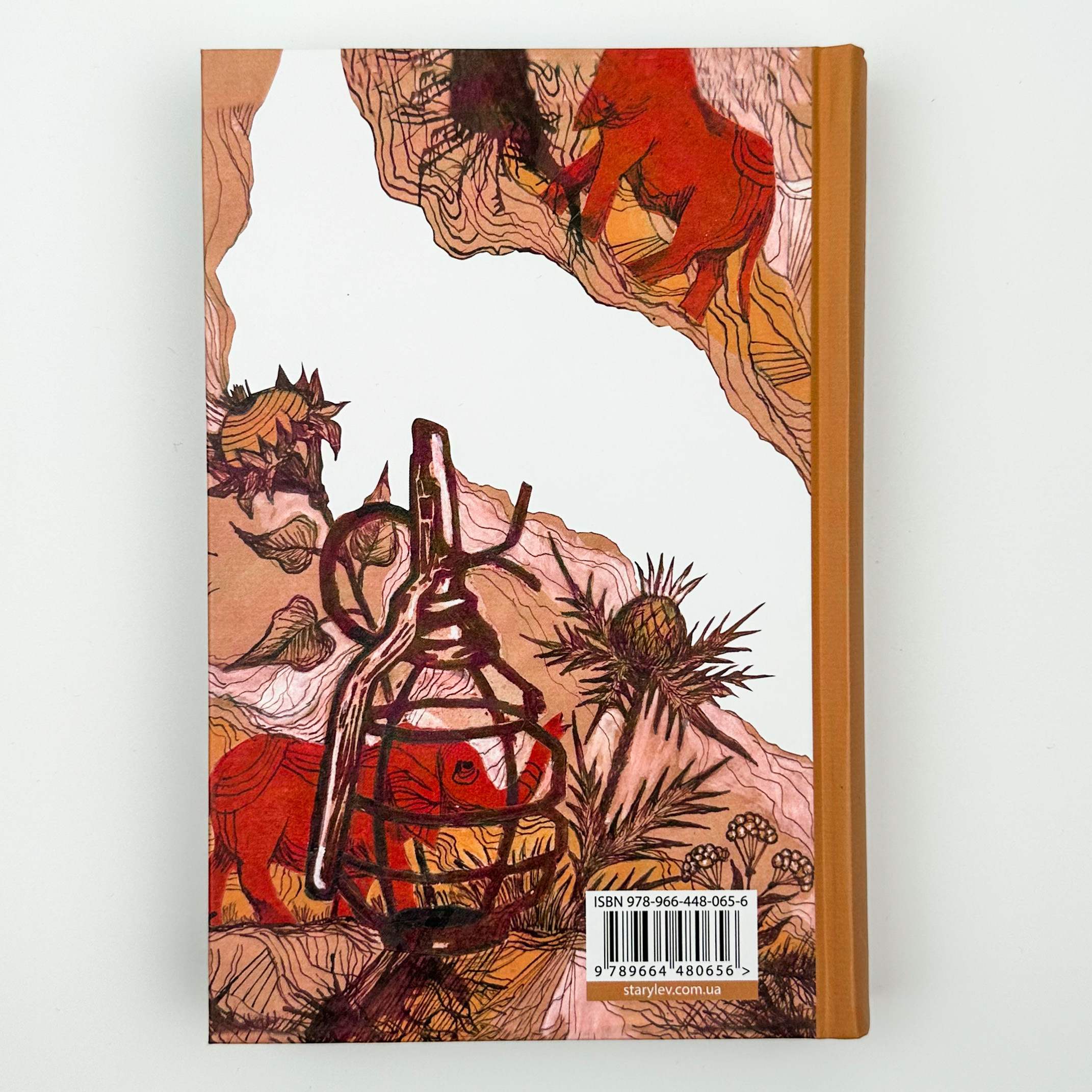 Африка. Пісні війни. Нелегальні Солдати Батьківщини. Автор — Андрій Гуменюк (Кельт). 