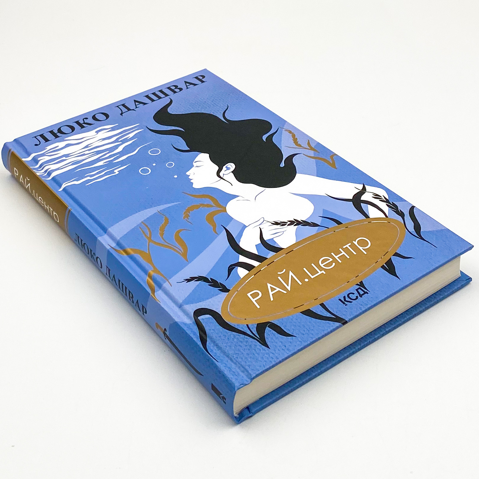 РАЙ.центр. Автор — Люко Дашвар. 