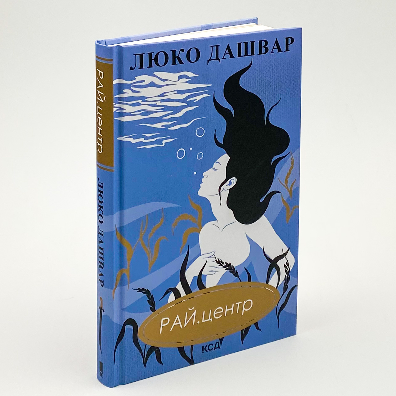 РАЙ.центр. Автор — Люко Дашвар. 