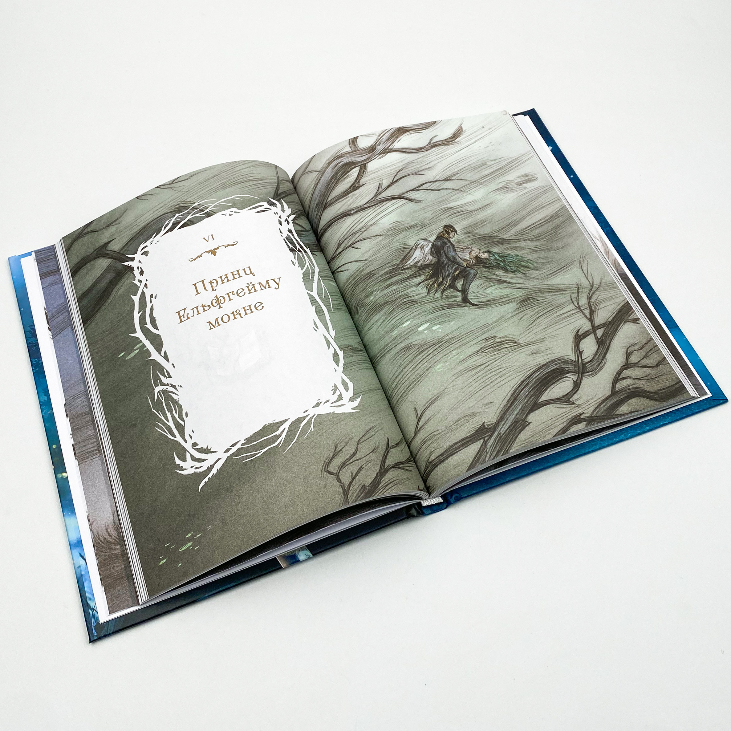 Як король Ельфгейму зненавидів оповідки. Автор — Голлі Блек. 