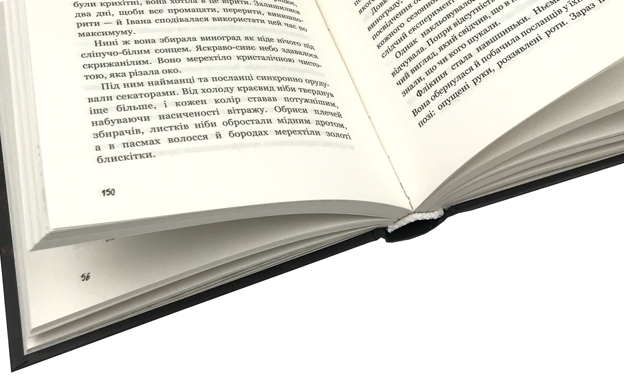 День попелу. Автор — Жан-Крістоф Гранже. 