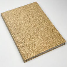 Канцелярська книга