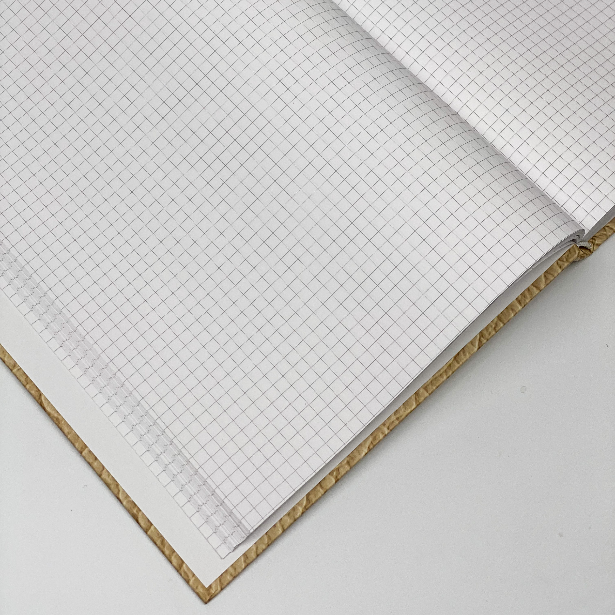 Канцелярська книга