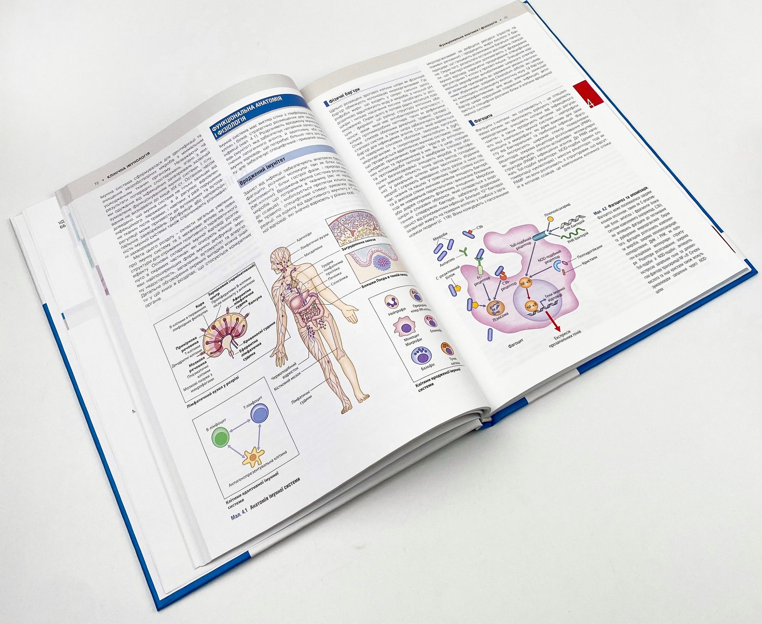 Медицина за Девідсоном: принципи і практика: 23-є видання: у 3 томах. Том 1. Автор — Стюарт Г Ралстон, Ян Д Пенман, Марк В Дж Стрекен, Річарда П Гобсон. 